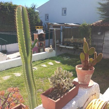 Casa Dos Cedros Guest House Setubal Exterior photo