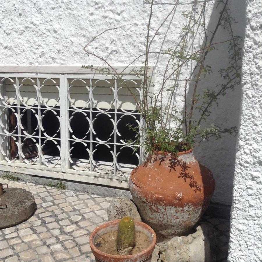 Casa Dos Cedros Guest House Setubal Exterior photo