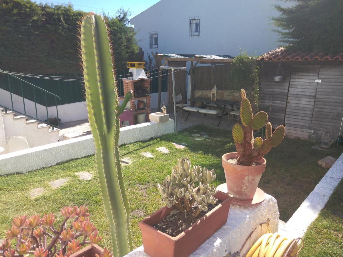 Casa Dos Cedros Guest House Setubal Exterior photo
